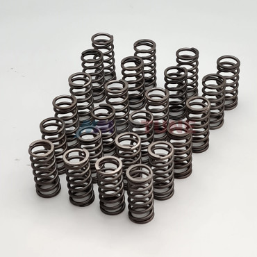 Stronger valve springs N57 B57 • BMW 330d 335d 535d M50d & other |2012 to 2020|